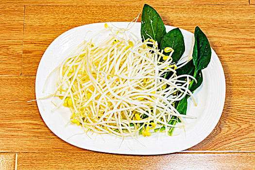 豆芽菜蔬菜