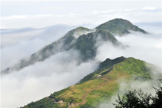 雾状,高原,山,土耳其