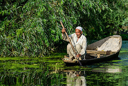 一个,男人,船,运河,靠近,湖,斯利那加,查谟-克什米尔邦,印度,亚洲