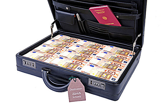手提箱,满,钱,50欧元,钞票,德国护照,标签,象征,图像,黑色,税,躲避,瑞士
