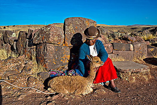印第安女人,传统服饰,坐,石墙,原驼,墓地,普诺,区域,秘鲁,南美