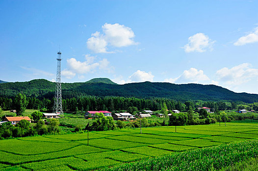 黑龙江省,尚志市,山风光