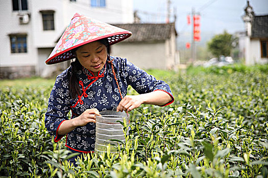 中国概念