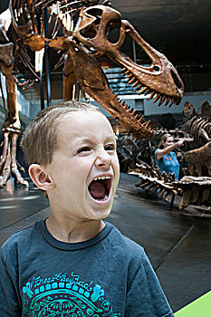 恐龙,自然历史博物馆,洛杉矶,加利福尼亚,美国