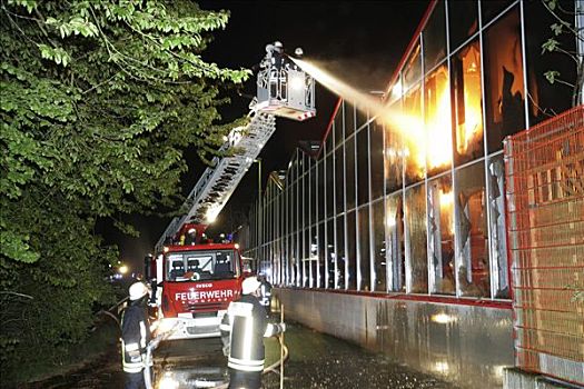 消防员,放,室外,火灾,莱茵兰普法尔茨州,德国