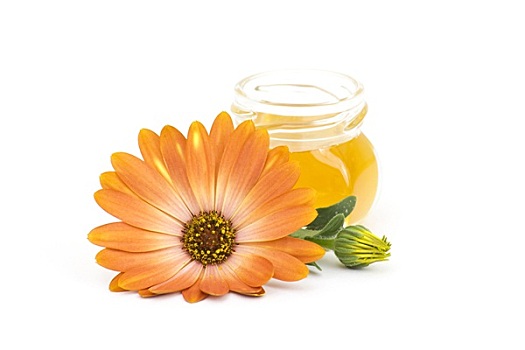 罐,蜂蜜,花,白色背景
