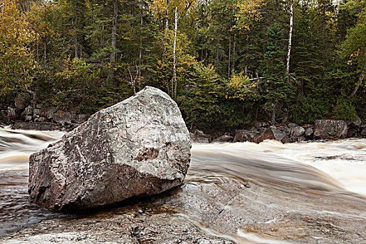河,急促,过去,漂石,安大略省,加拿大
