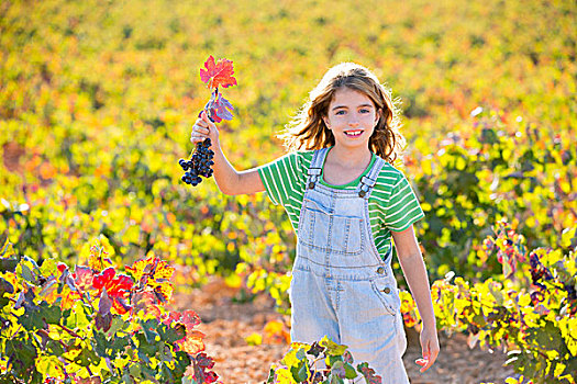 儿童,女孩,高兴,秋天,葡萄园,地点,拿着,红叶,葡萄,束