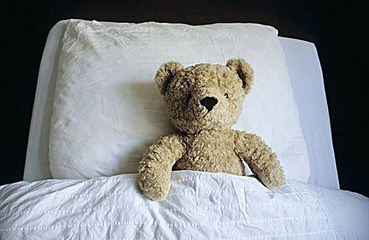 泰迪熊,睡觉