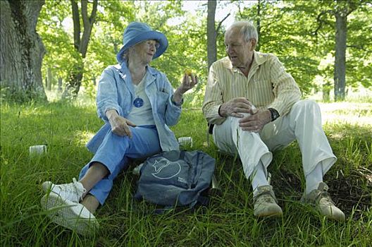 老年夫妇,坐,草,瑞典