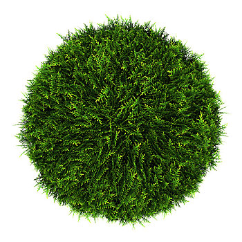 俯视,东方,灌木,隔绝