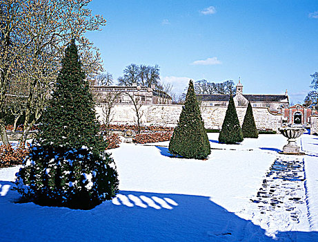 积雪,冬天,花园,灌木