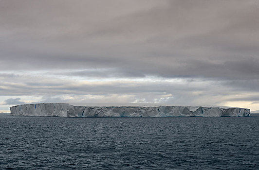 巨大,扁平,冰山,漂浮,海峡,靠近,北方,尖,南极半岛,南极