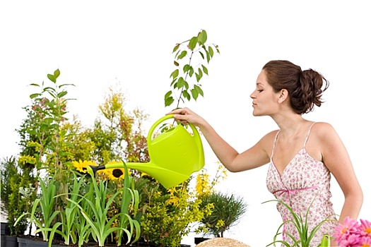 园艺,女人,倒出,水,植物,洒水壶
