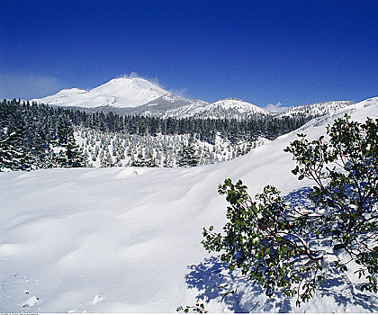 攀升,冬天,加利福尼亚,美国