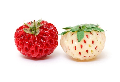 成熟,白色,红色,草莓