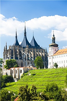 大教堂,耶稣会,大学,捷克共和国