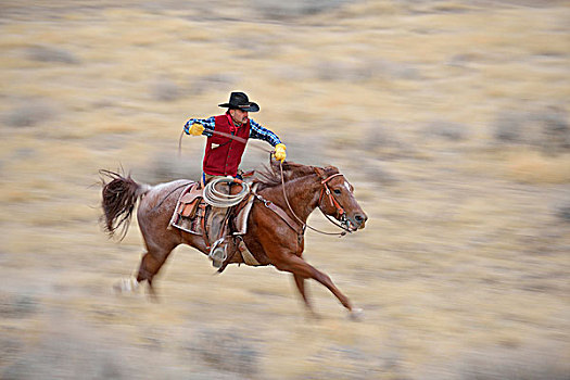 动感,牛仔,骑马,驰骋,荒野,岩石,怀俄明,美国