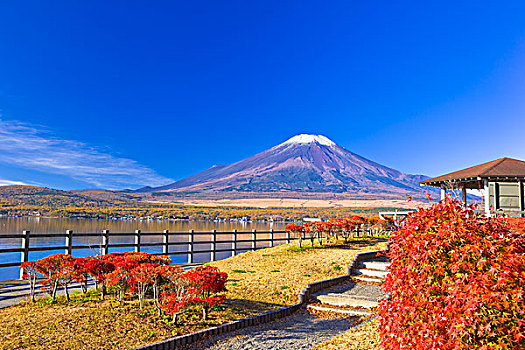 山,富士山,秋叶,湖