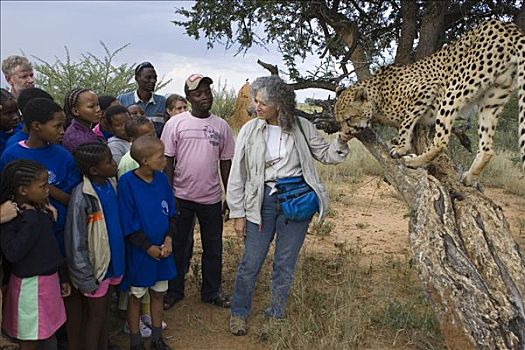 印度豹,猎豹,学生,基金,肯尼亚