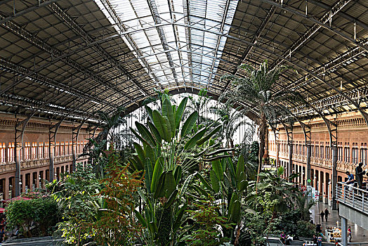 马德里,火车站,新艺术,等候室,棕榈树