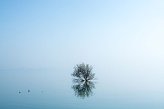 海景