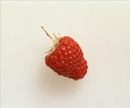 特写,树莓