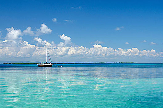 伯利兹,帆船,清晰,加勒比海,海岸