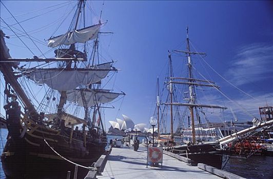 澳大利亚,悉尼,高桅横帆船,停泊,悉尼港