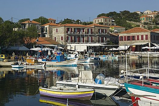 渔港,莱斯博斯岛,岛屿,希腊