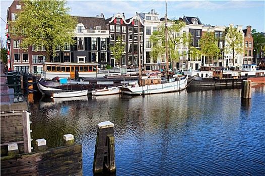 城市,阿姆斯特丹,河,风景