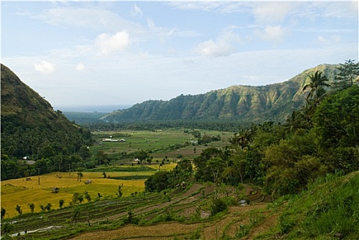 巴厘岛,风景