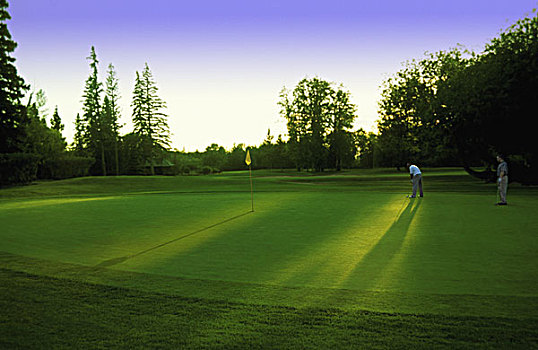 打高尔夫,穿戴,绿色,艾伯塔省,加拿大