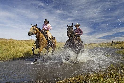 牛仔,女牛仔,骑,水中,美国西部,俄勒冈,美国