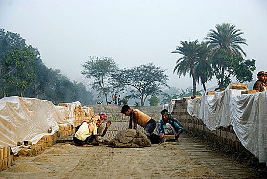 劳工,粘土,砖,孟加拉,户外,城镇,城市,陆地,一半,数字