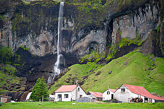 农场,南方,冰岛