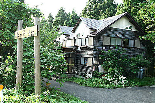 温泉,乡村,药用,花园