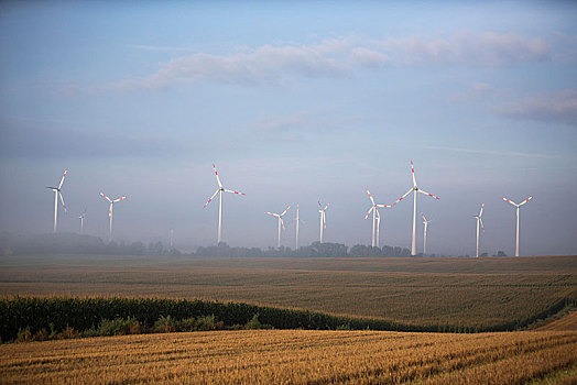 风电场,靠近,秋天,早晨,区域,勃兰登堡,德国,欧洲