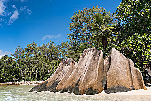 花冈岩,石头,海滩,拉迪格岛,塞舌尔,非洲