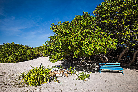 英属维京群岛,湾,海滩,长椅