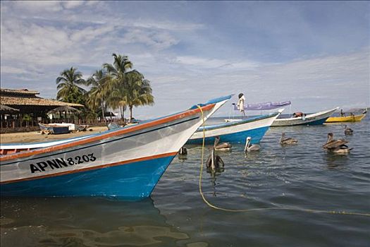 渔船,圣达菲,加勒比海,南美