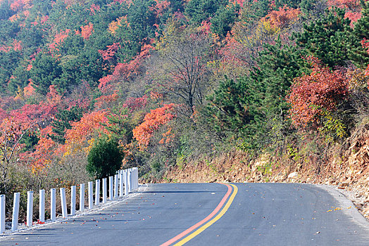 山区道路