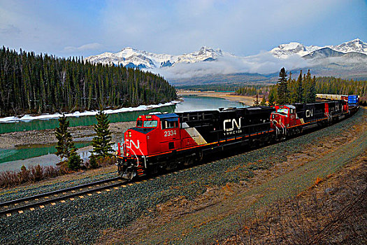 加拿大,国家,货运列车,引擎,旅行,轨道,岸边,阿萨巴斯卡河,落基山脉,艾伯塔省