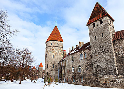 古老,要塞,墙壁,塔,塔林,爱沙尼亚