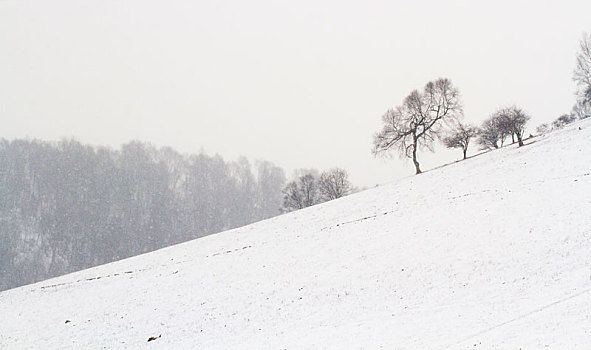 雪景