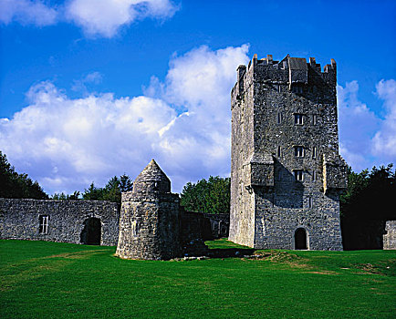 城堡,爱尔兰