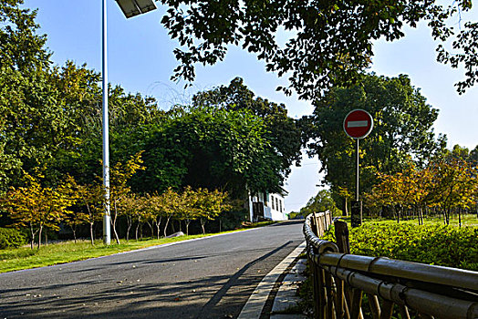 东湖风景