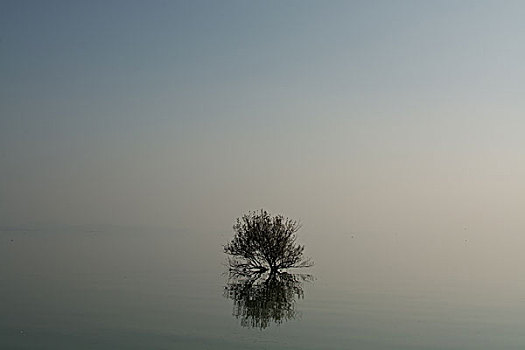 海景