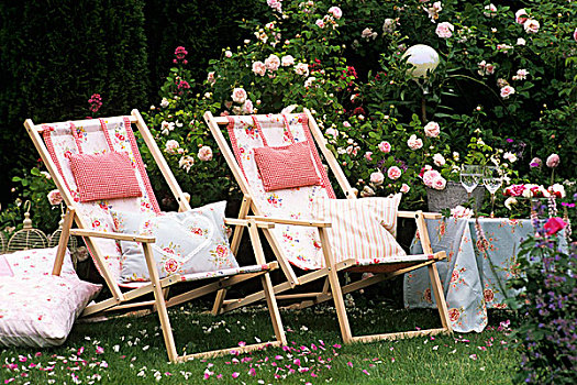 两个,折叠躺椅,垫子,玫瑰园