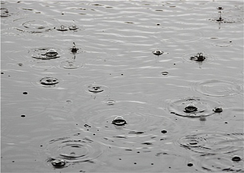 夏天,降雨,一个,雨滴,水上,表面